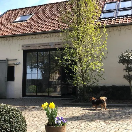 Welness Carpe Diem Feriehus Opglabbeek